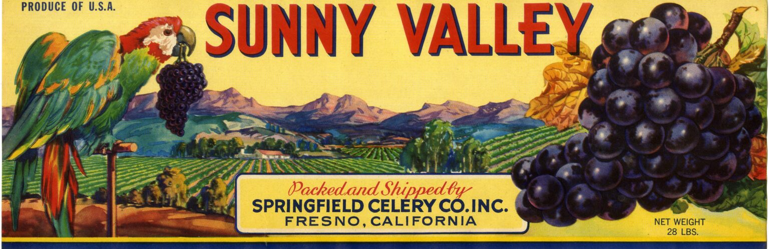 Sunny Valley